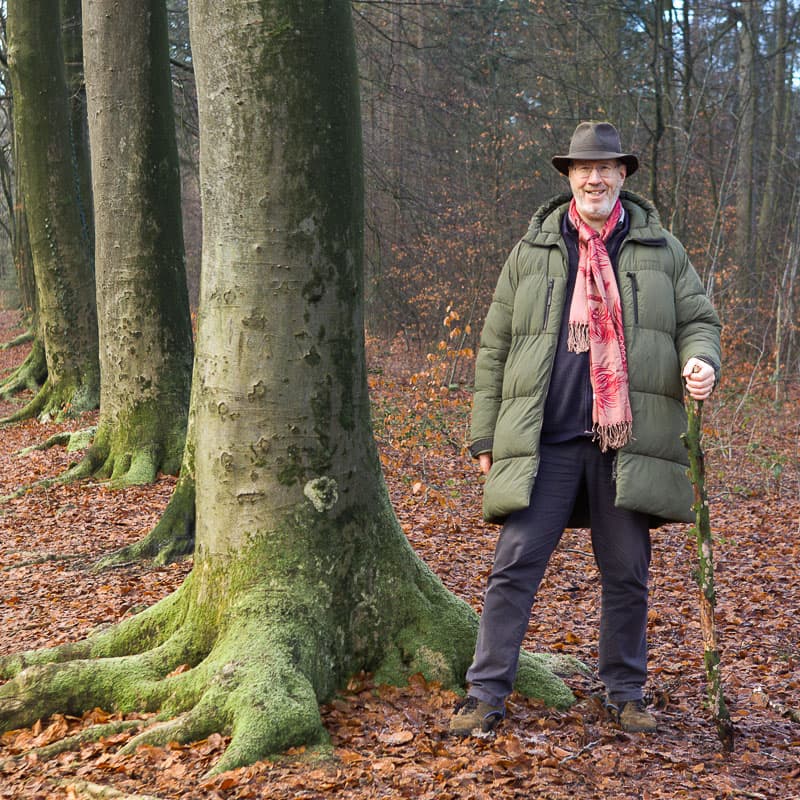 Open plek in het bos